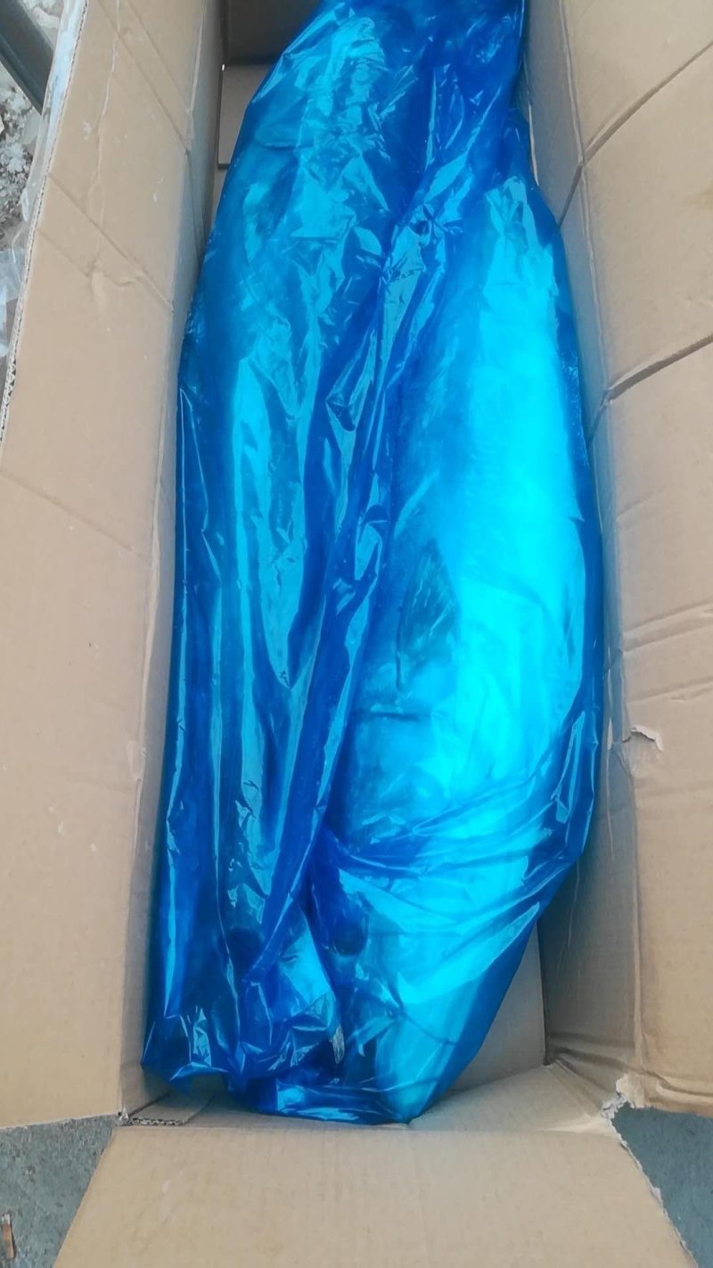 冰冻黄金大鲅鱼
