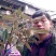 羊奶果苗