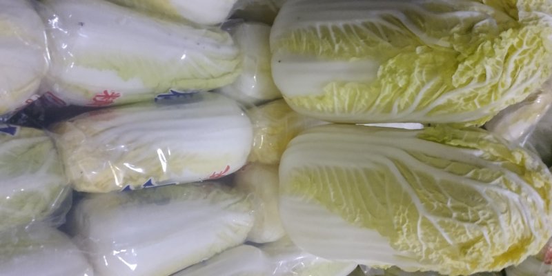 精品娃娃菜质量保证价格美丽视频看货全网接单