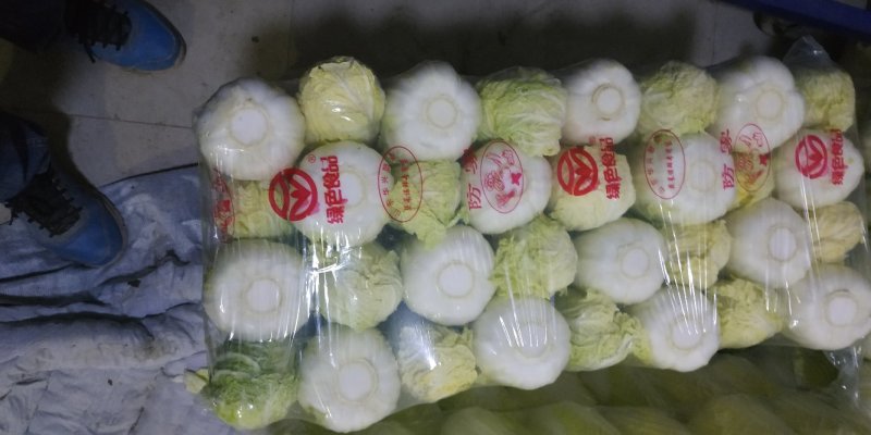 精品娃娃菜质量保证价格美丽视频看货全网接单