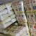 精品娃娃菜质量保证价格美丽视频看货全网接单