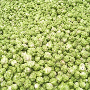 鲜榨菜，大头菜，量大从优