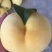 黄金蜜桃树苗80cm以上，黄桃苗黄金蜜一号，四号桃树苗