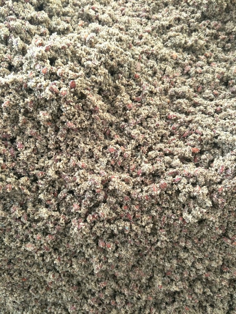 沙藏海棠种子【优选良种，八棱海棠种子，纯手工种子】