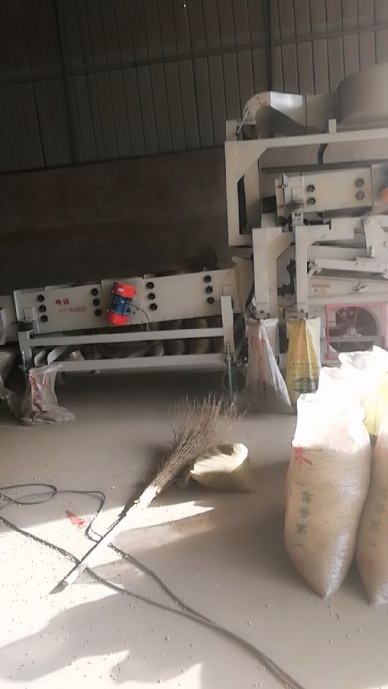 出售优质苏北大豆，高蛋白水份干做豆腐豆制品用