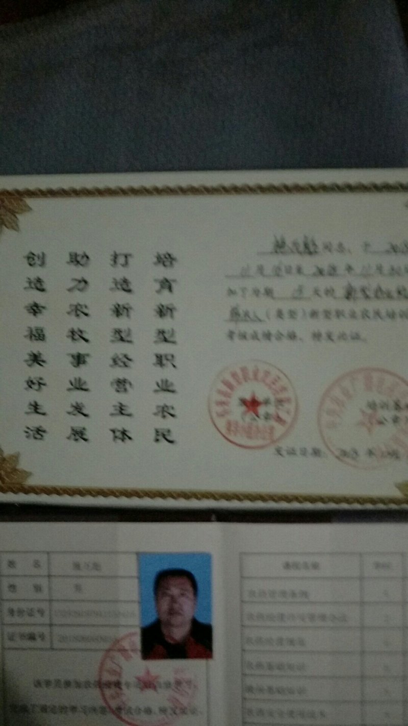 沙藏海棠种子【优选良种，八棱海棠种子，纯手工种子】