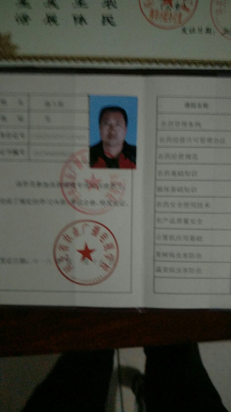 沙藏海棠种子【优选良种，八棱海棠种子，纯手工种子】