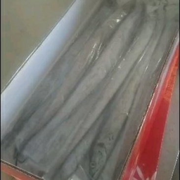 带鱼大小规格都有货哦价格底质量好
