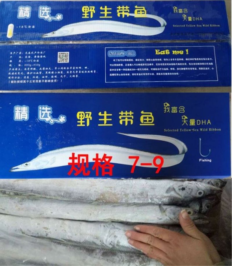带鱼大小规格都有货哦价格底质量好