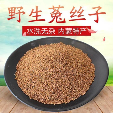 中药批发菟丝子，产地直销大量批发