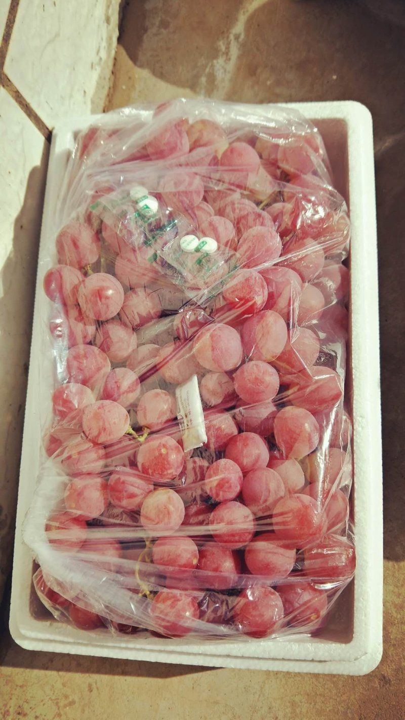 河北红提葡萄颜色好，颗粒大口感甜质量好