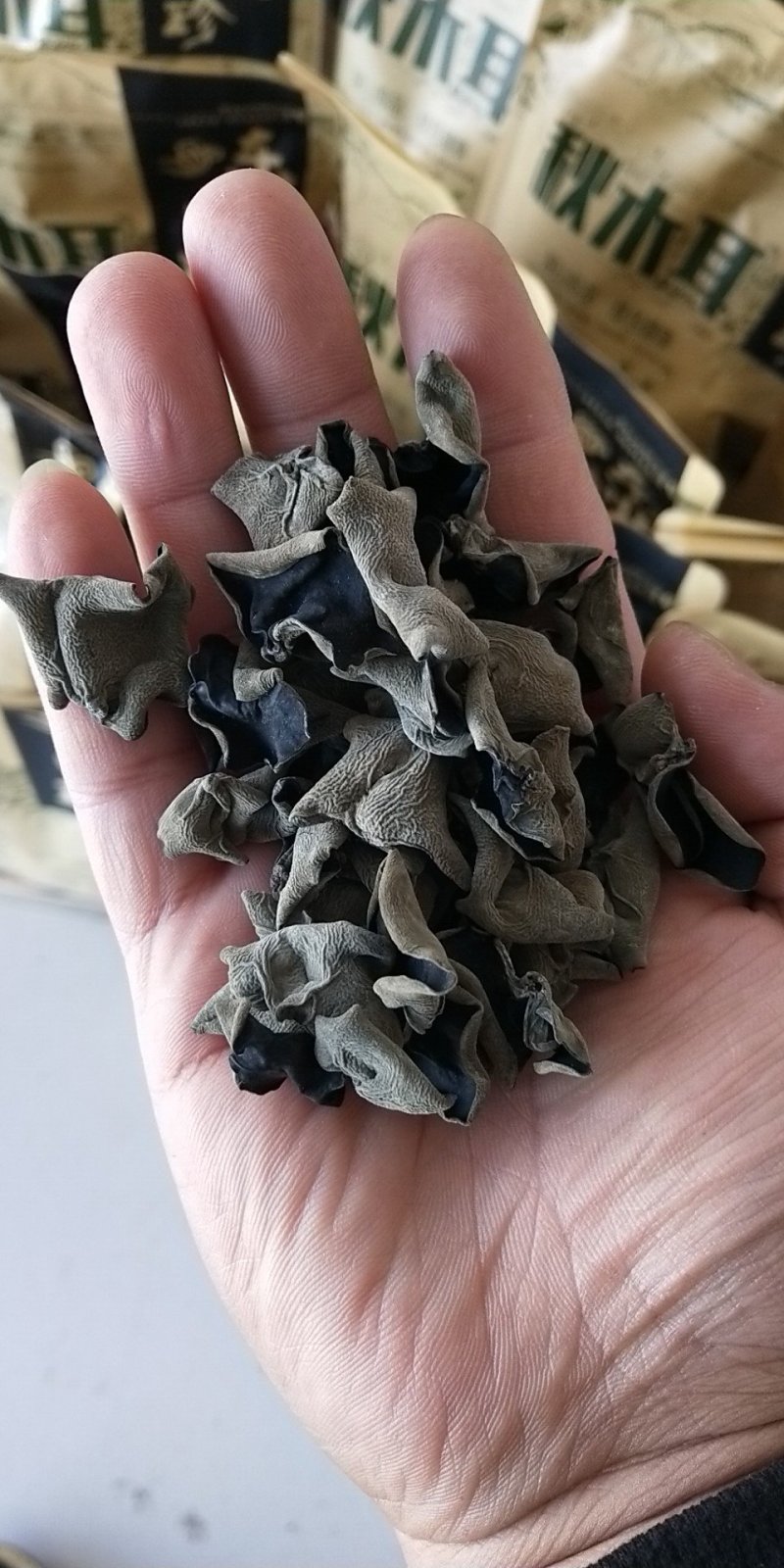 东北秋木耳纯山泉水浇灌散装和礼盒装