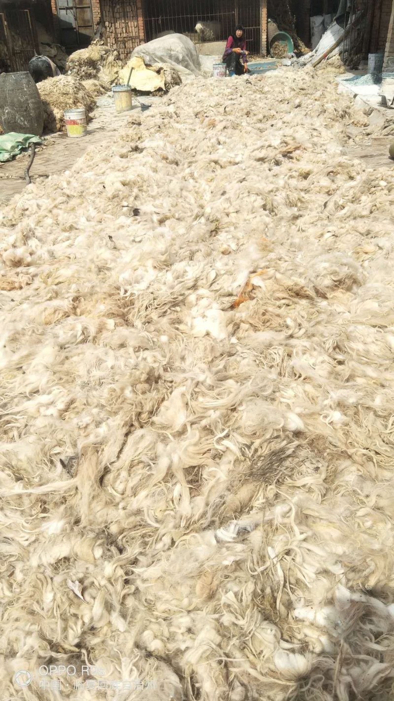 货物样品，羊毛！！！！！！！！！！