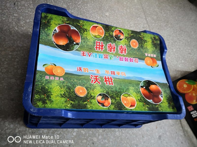 沃柑彩纸，沃柑围框纸，茂谷柑包边纸，