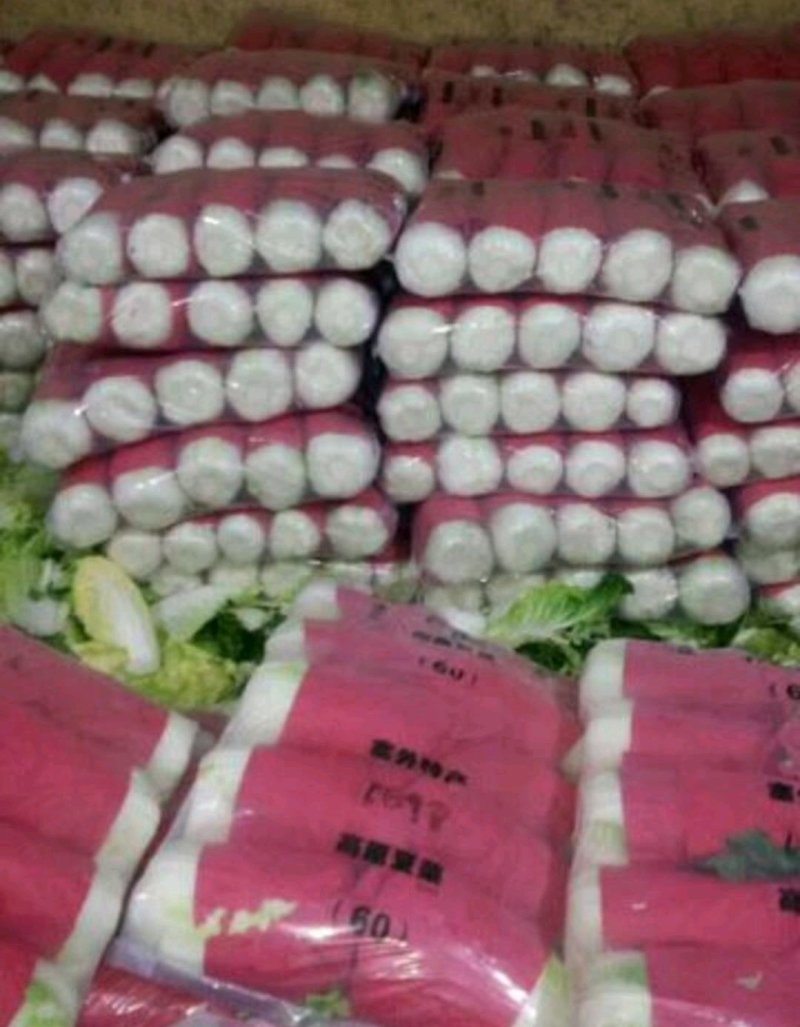 大白菜河北省昌黎县，质量可靠，品质值得信赖，欢迎新老客户
