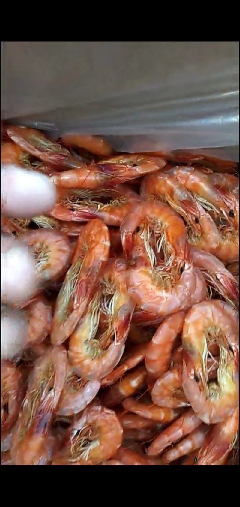 干虾
