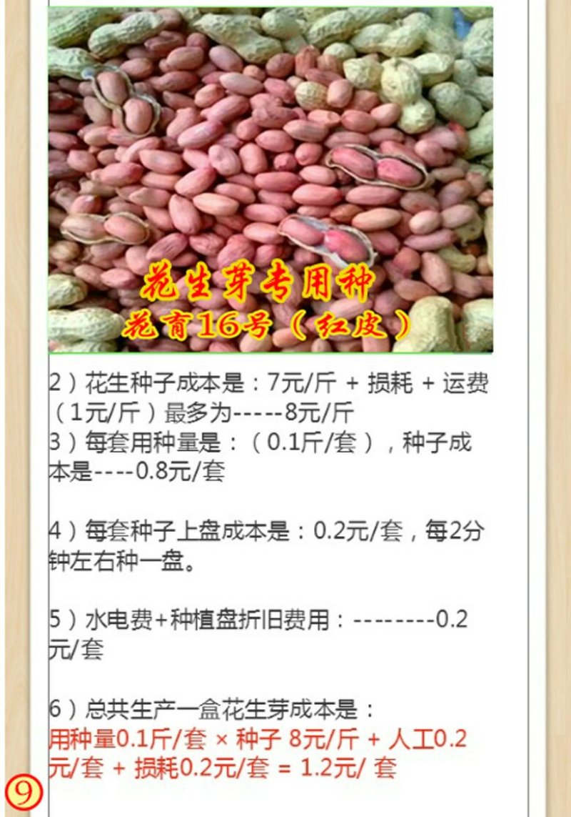 几千块就能在家创业每平日产200斤/月入几万水培花生芽