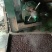 山茶油
