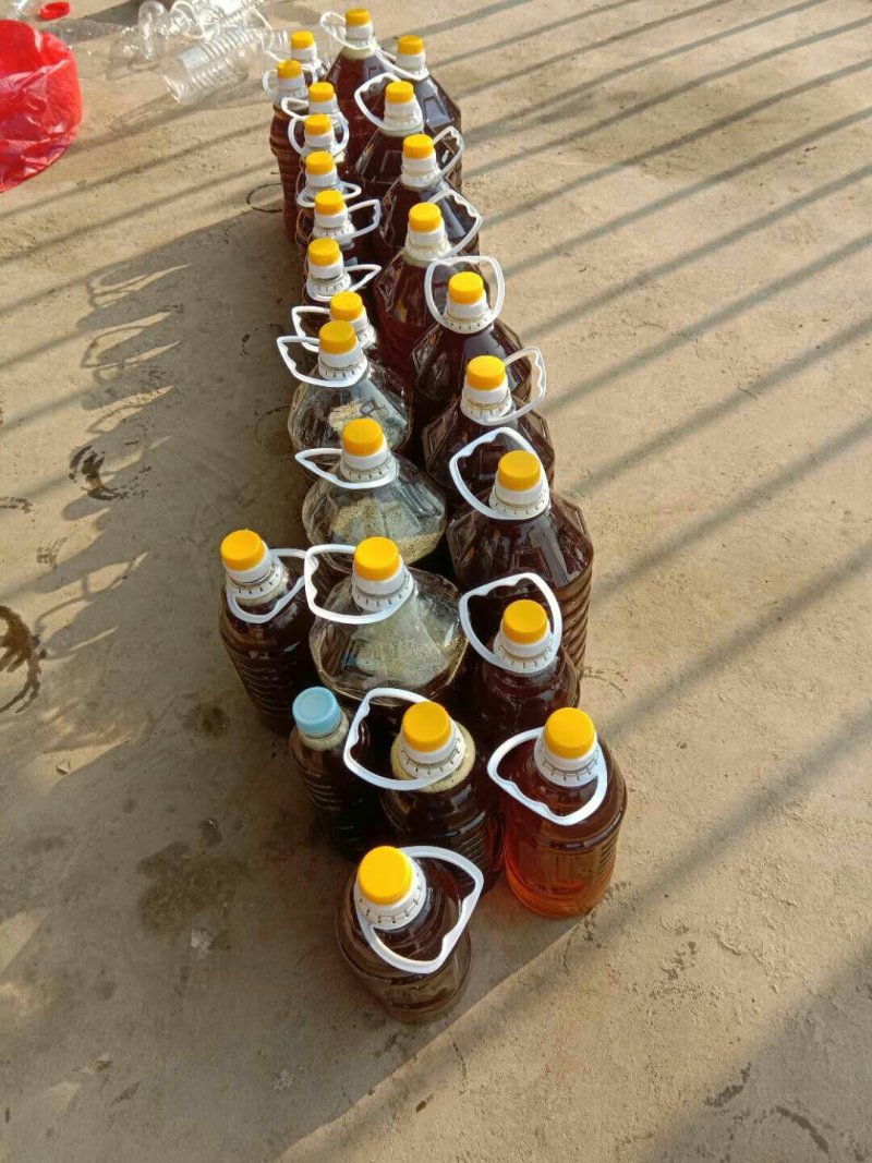 山茶油