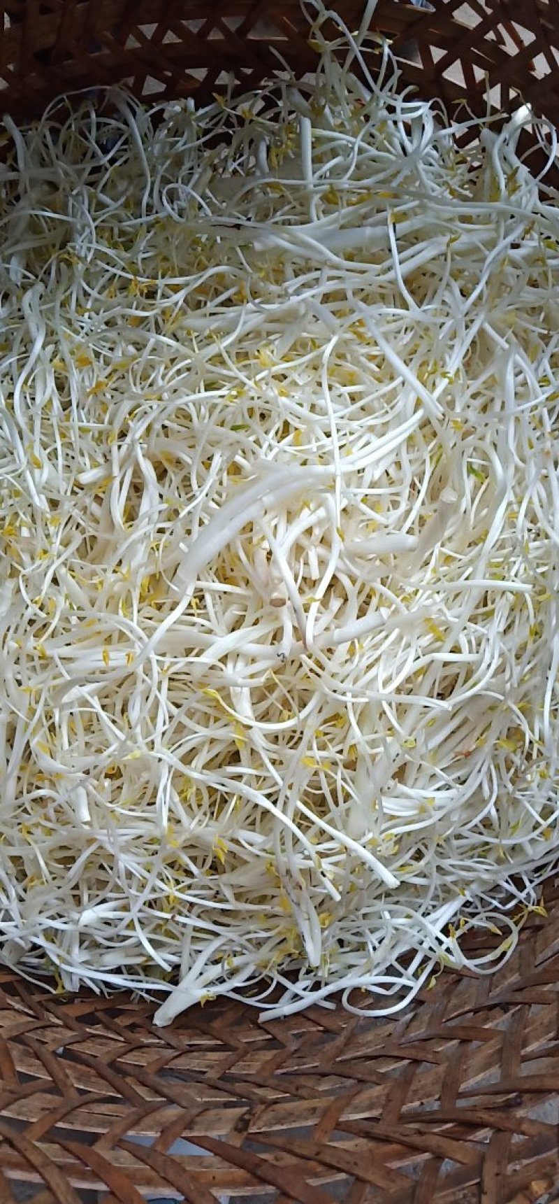 芹芽绿色食品