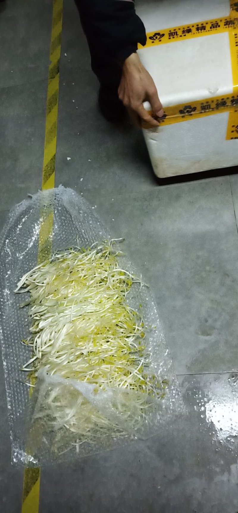 芹芽绿色食品