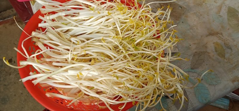 芹芽绿色食品