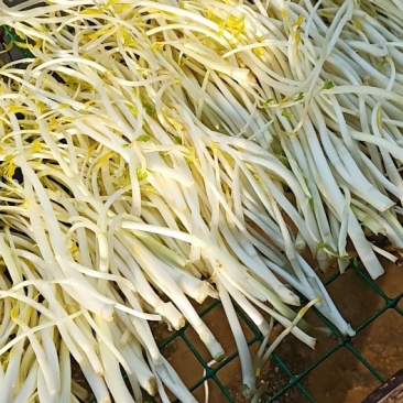芹芽绿色食品