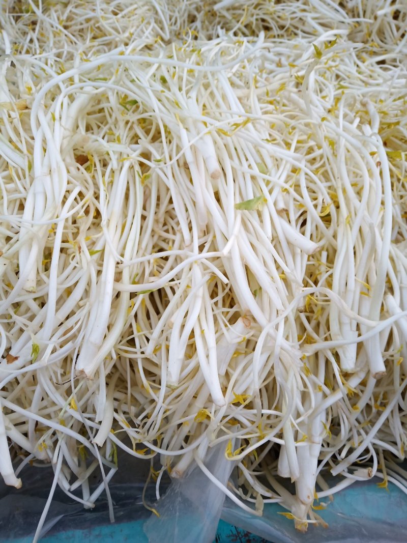 芹芽绿色食品