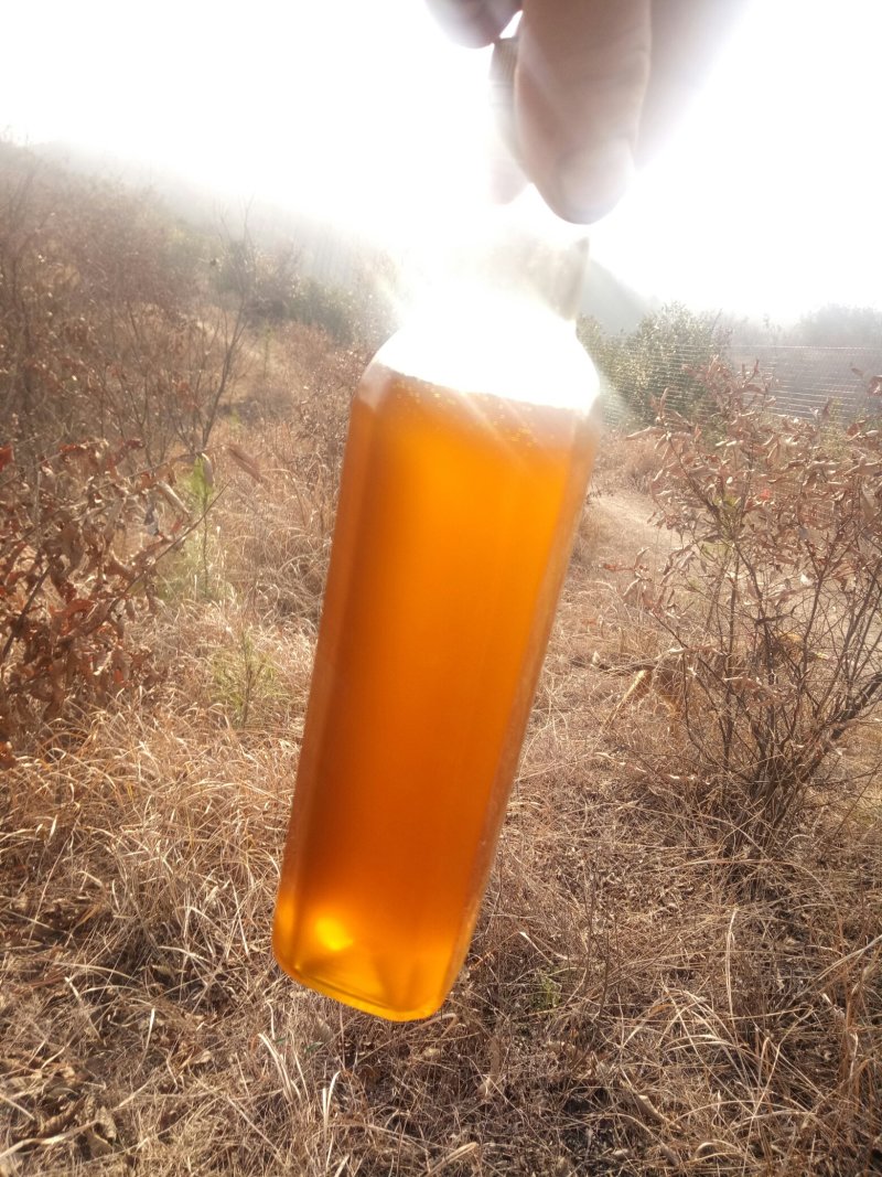 山茶油
