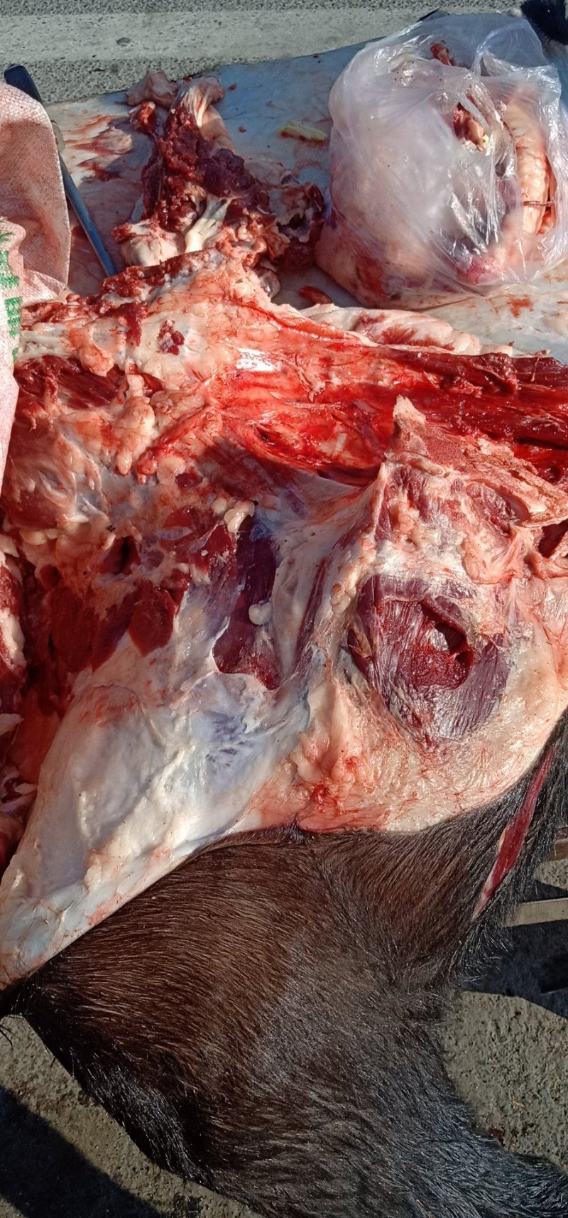 新鲜驴肉