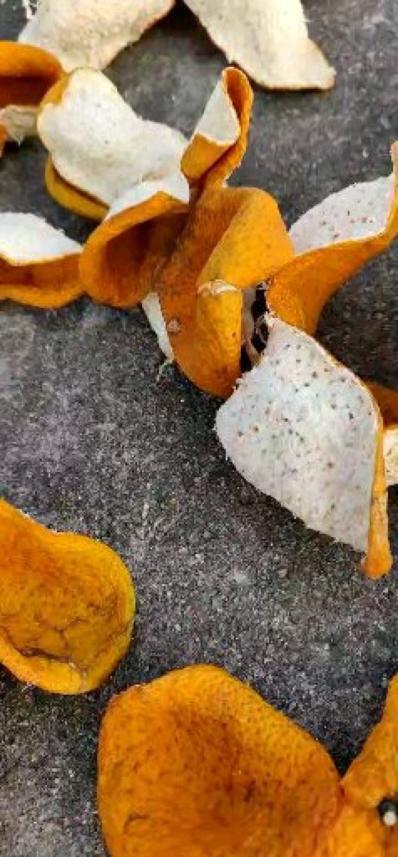 陈皮