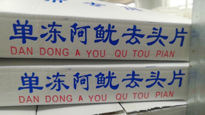 鱿鱼