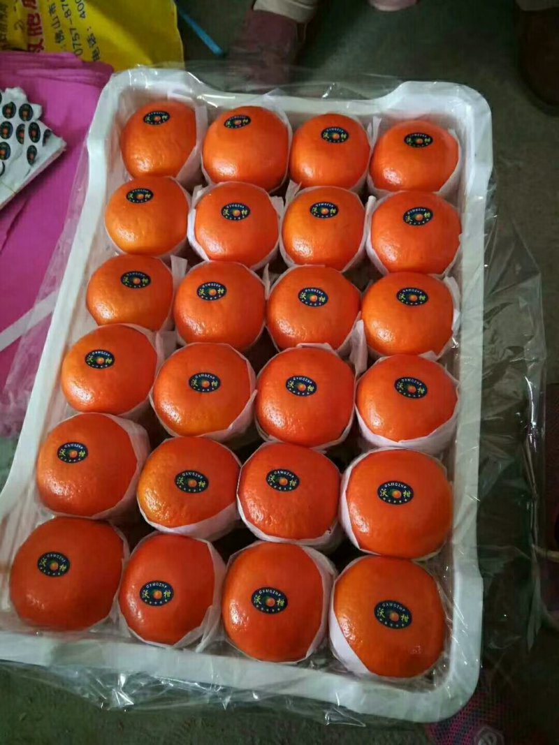 广西南宁市大量供应优质沃柑质量好。价格合理