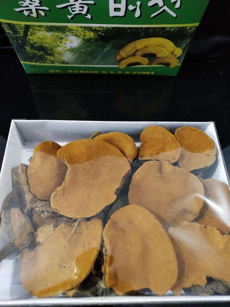 特别推荐，朝鲜桑黄，一盒一斤，一斤起包邮，量大价优