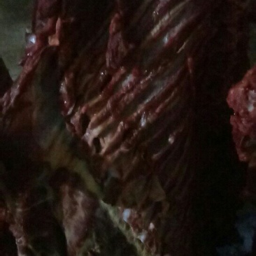 驴肉批发