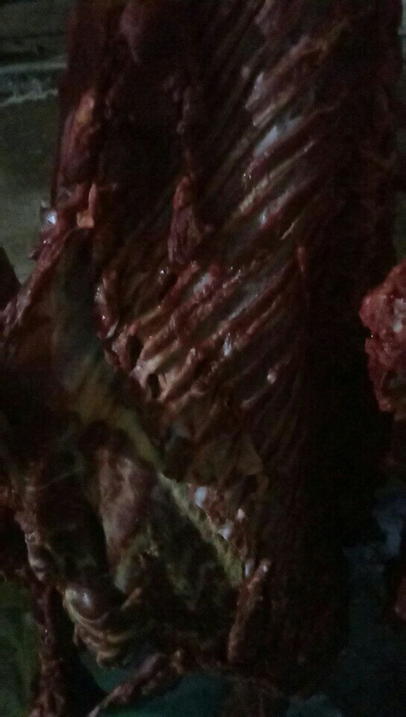驴肉批发