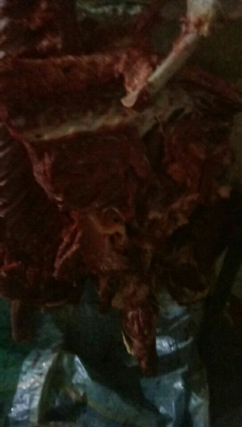 驴肉批发
