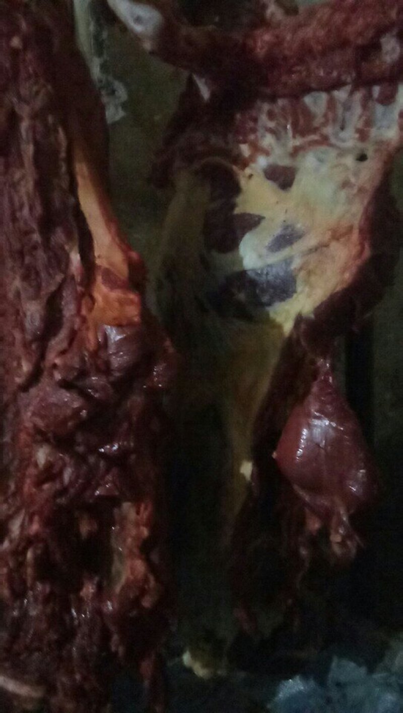 驴肉批发