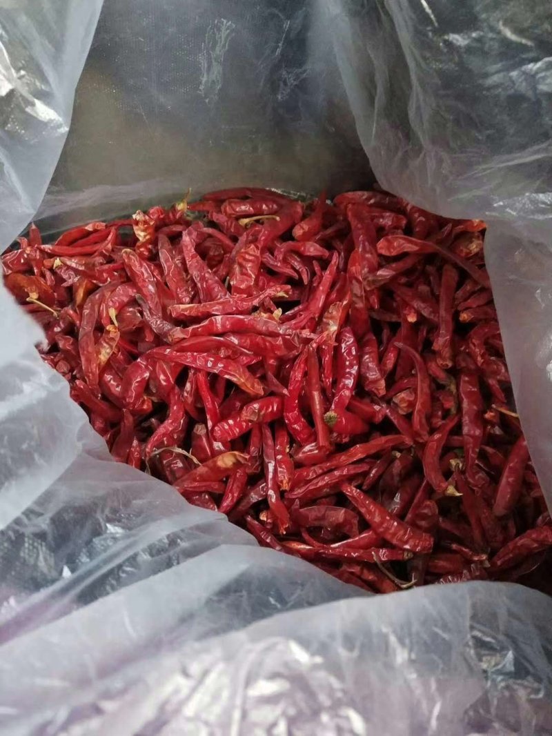 干辣椒