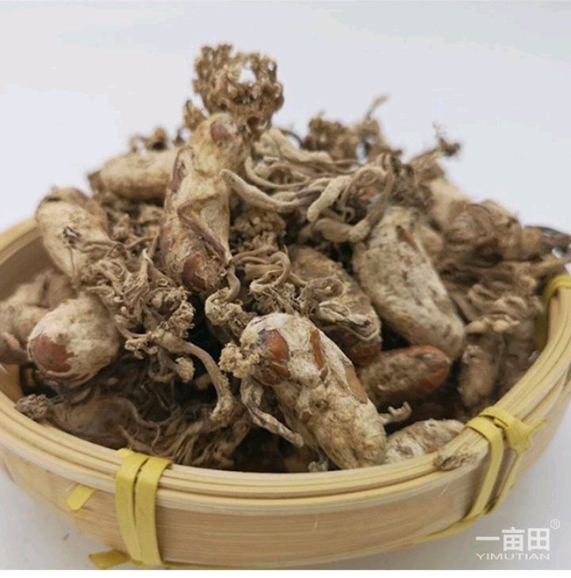 金蝉花货好量大不满意保退换产地安徽