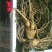 特别推荐精品大参王单支重200--500克无疤无锈须毛好