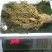 特别推荐精品大参王单支重200--500克无疤无锈须毛好