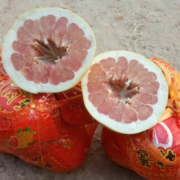 柚子