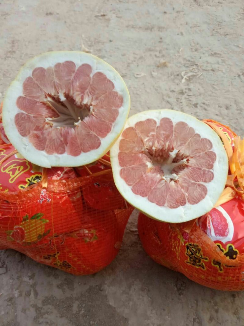 柚子