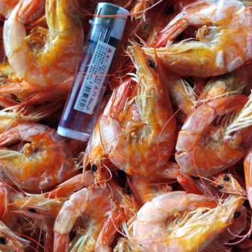 需要过年用的，海货，送礼品，