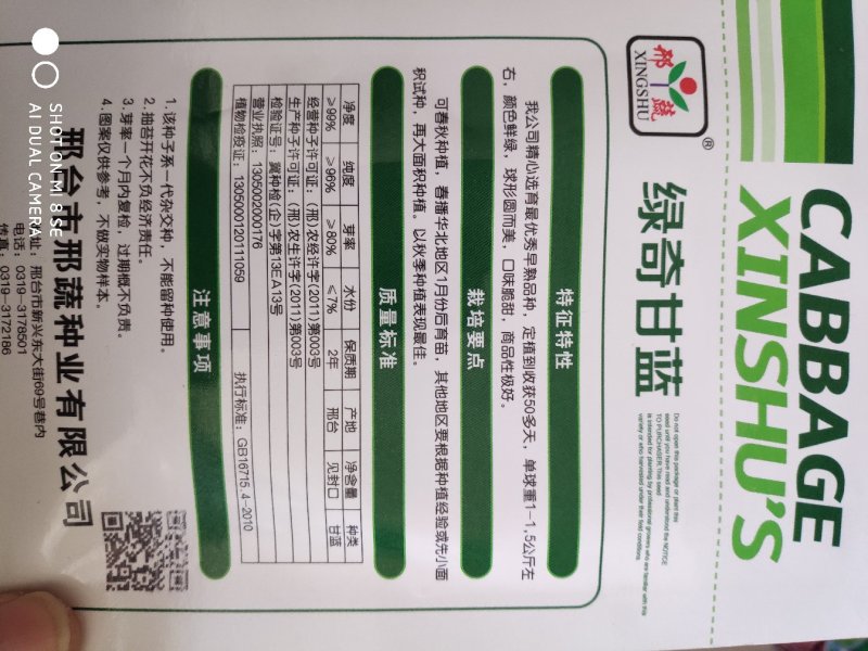绿甘蓝种子绿奇甘蓝种子