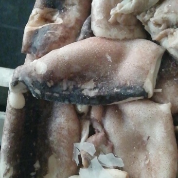真鱿残筒