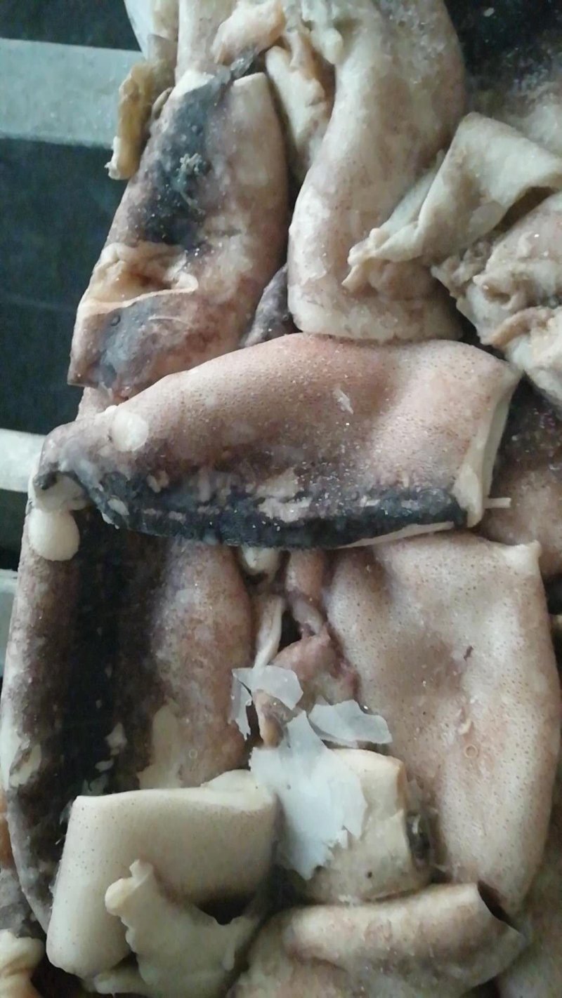 真鱿残筒
