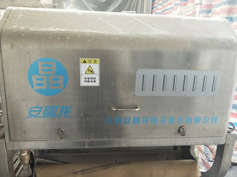 蒜米色选机，每小时四吨货