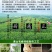 品舌2020年新茶明前黄山毛峰500g散茶